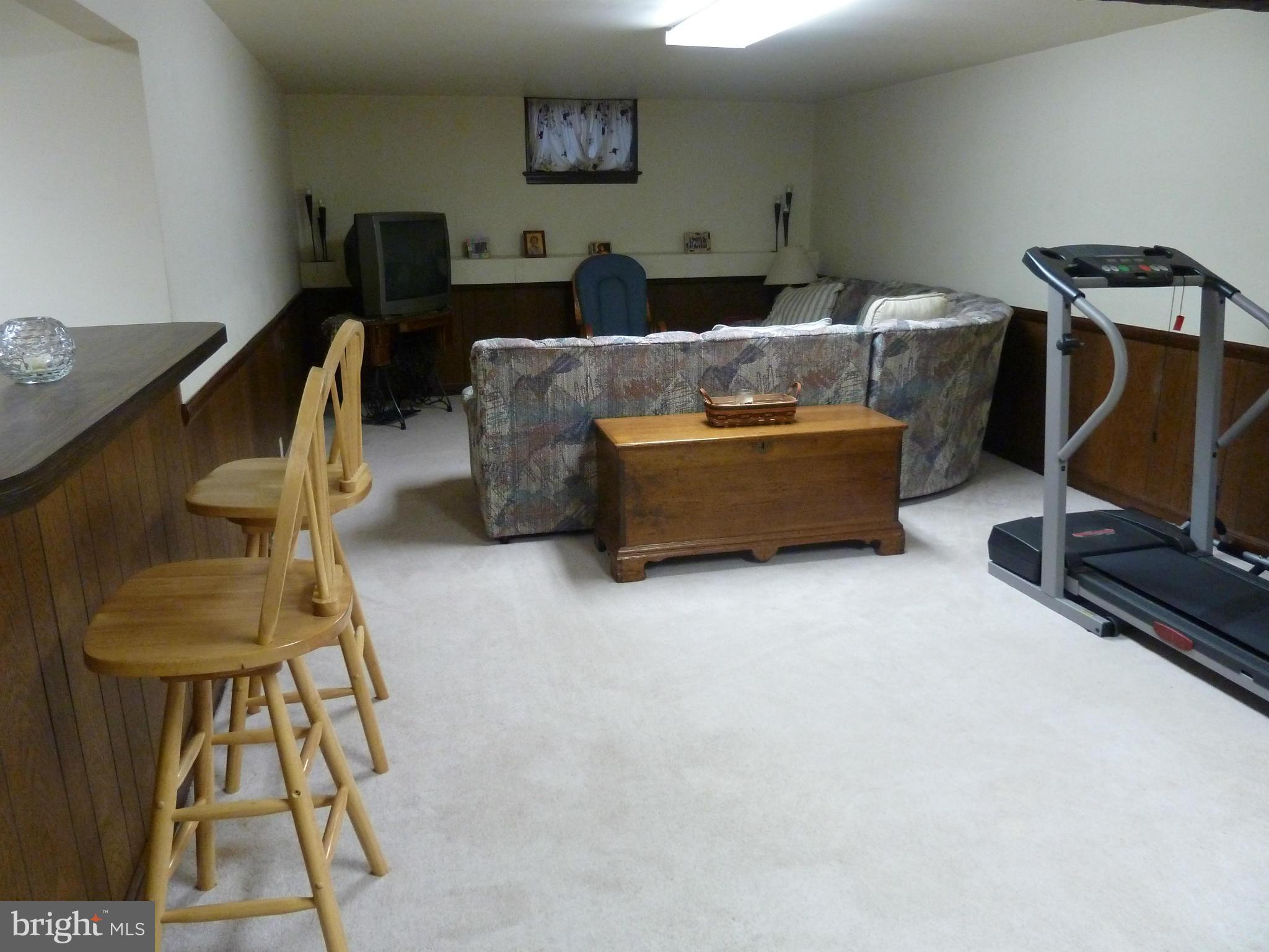 16534 Edward Doub Road Williamsport, MD 21795 - Photo 10 of 15 Other Side of Family/Rec Room in Basement