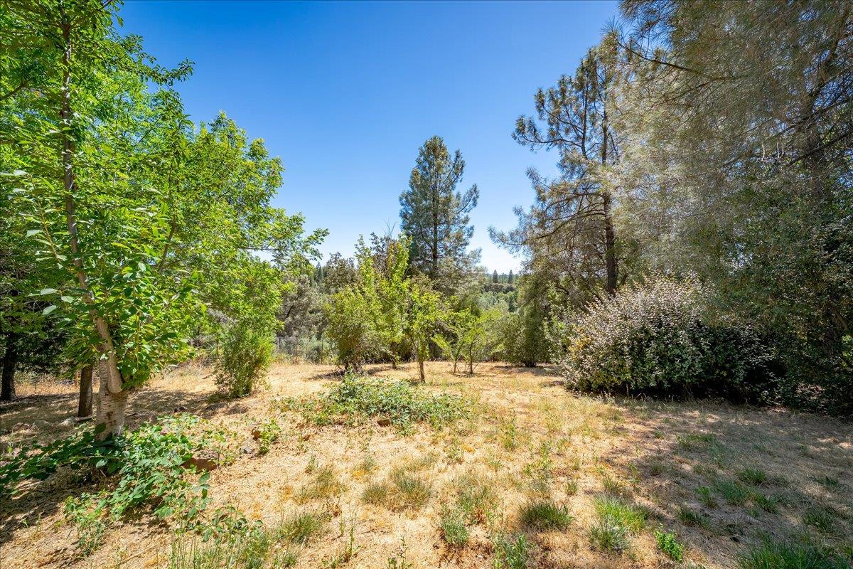 3005 Buckboard Road Placerville, CA 95667 - Photo 59 of 82