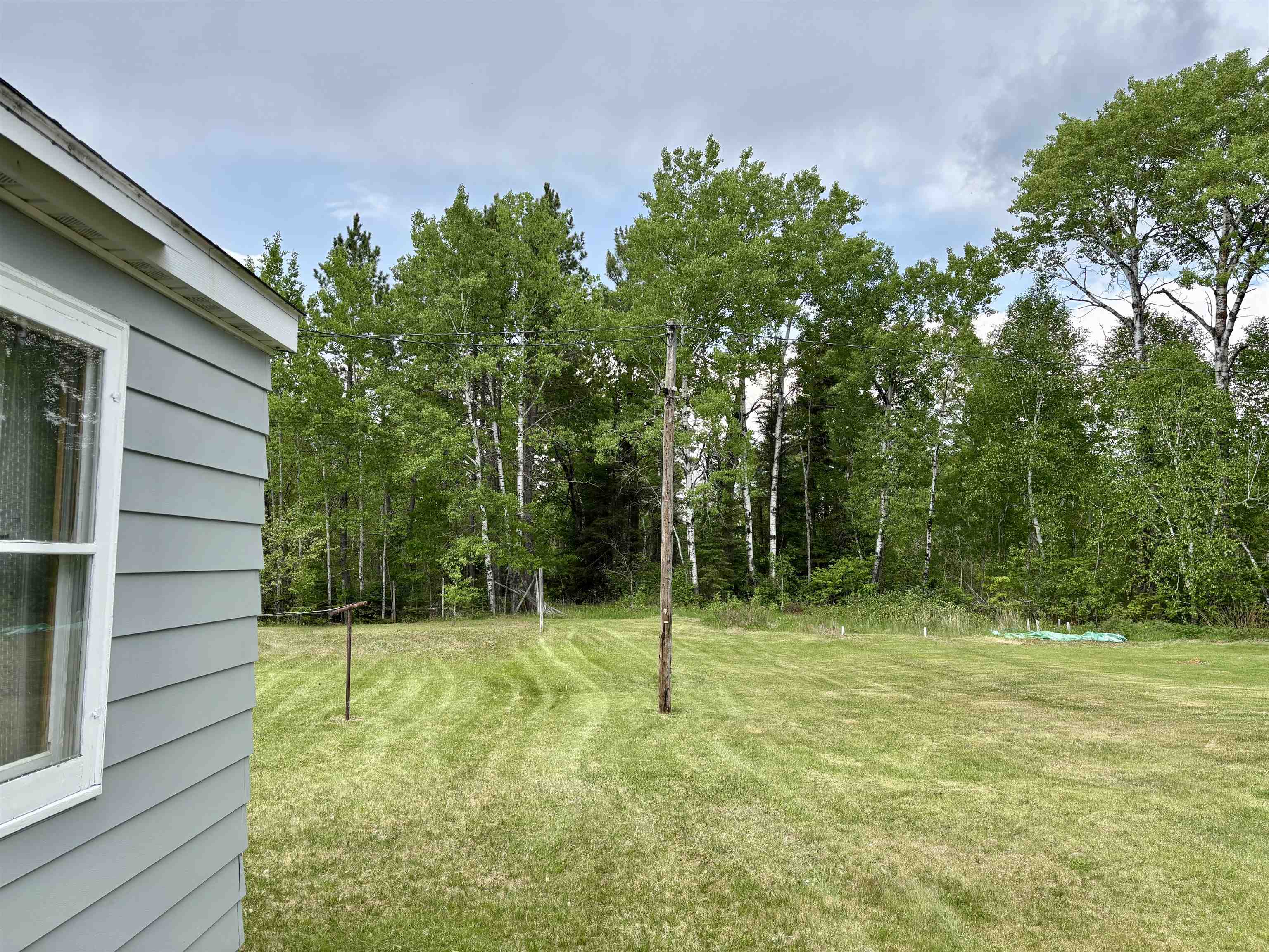9724 State Highway 1 Isabella, MN 55607 - Photo 20 of 21 View of green lawn