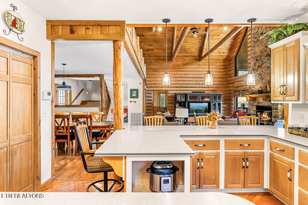 206 Cobblestone Way Townsend, TN 37882 - Photo 3 of 50 17-DSC04364-HDR