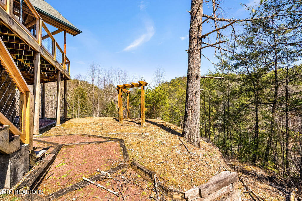 206 Cobblestone Way Townsend, TN 37882 - Photo 43 of 50 31-DSC04444-HDR