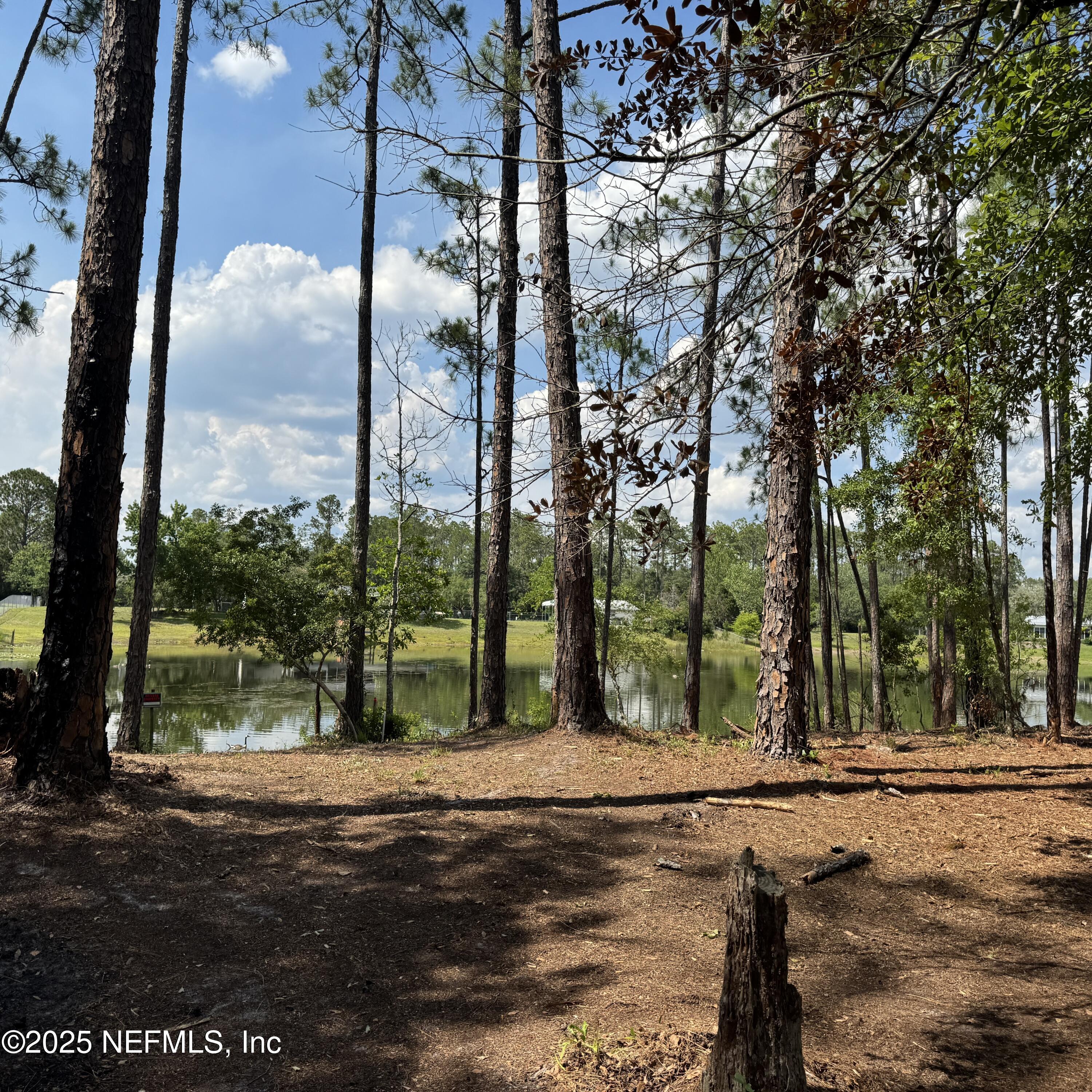 a view of a yard with a tree