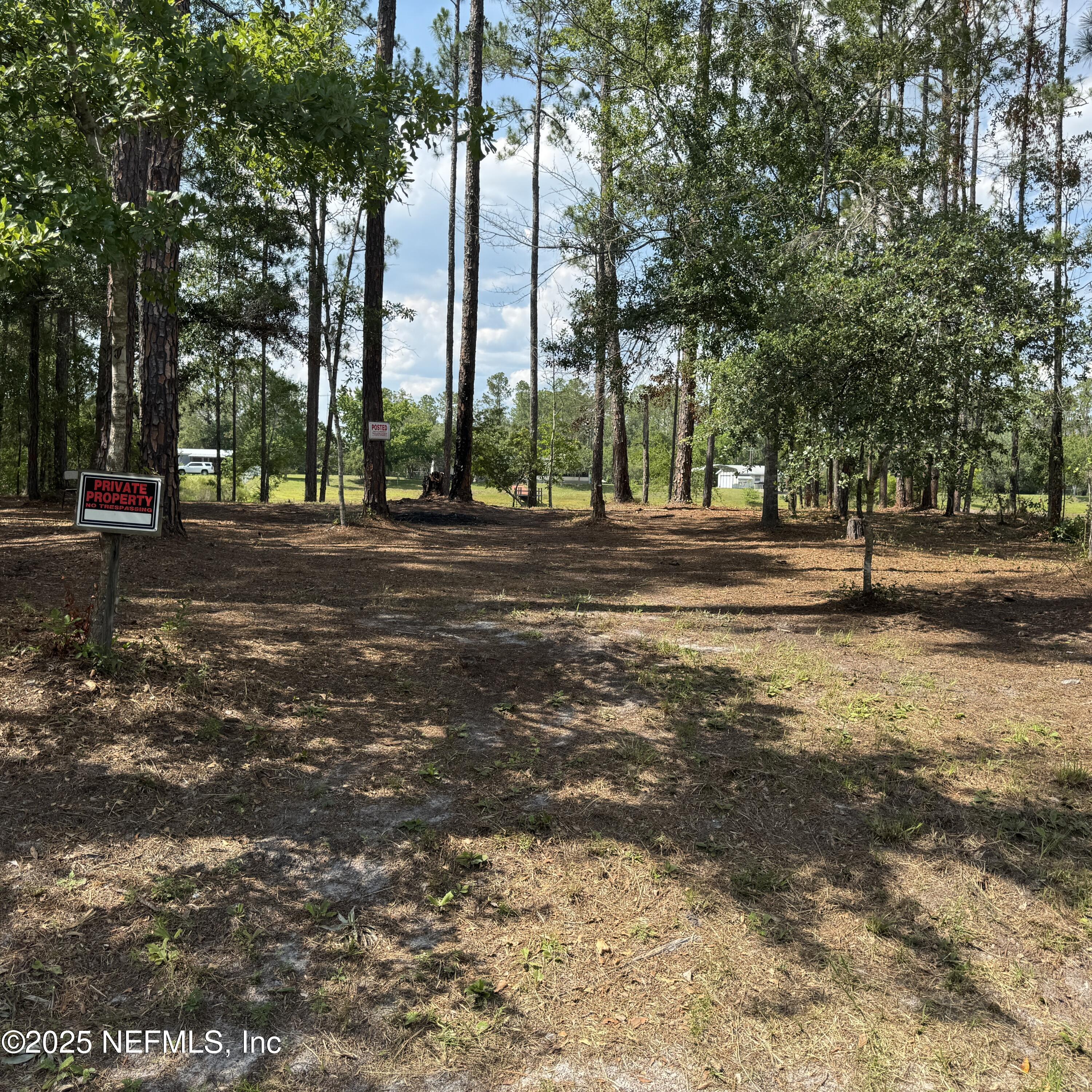 0 Wallace Street Interlachen, FL 32148 - Photo 2 of 5 a view of road with trees