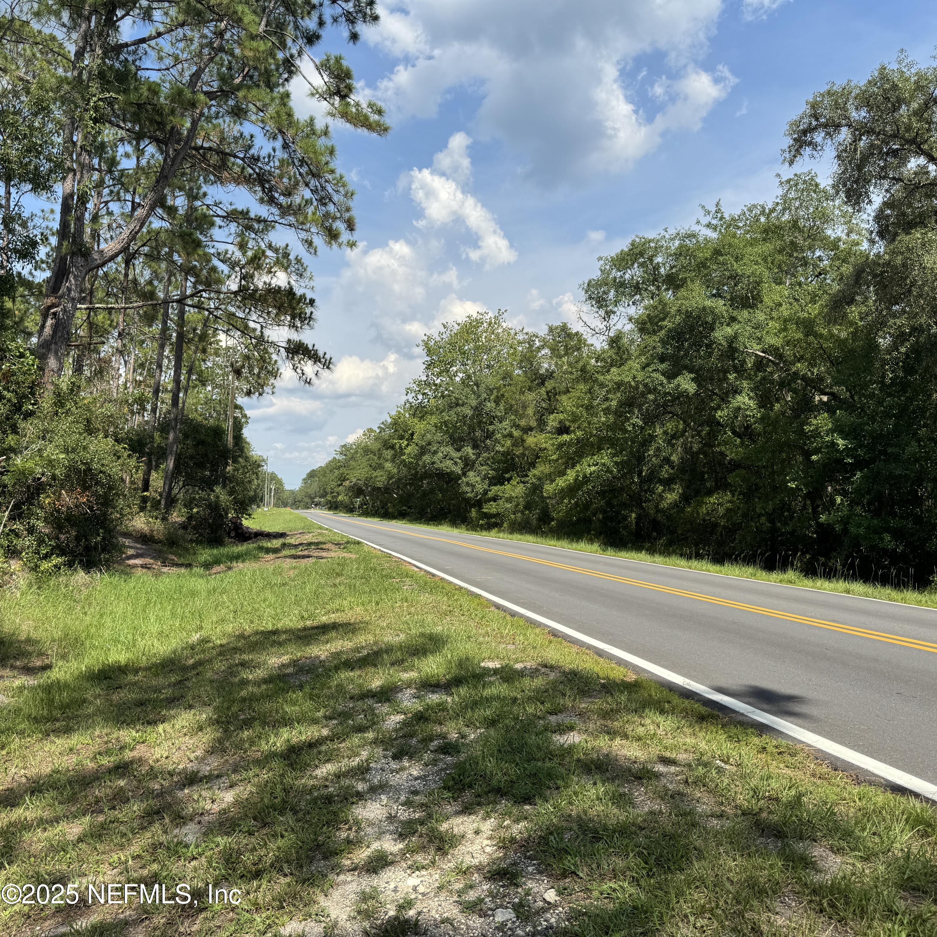 0 Wallace Street Interlachen, FL 32148 - Photo 3 of 5