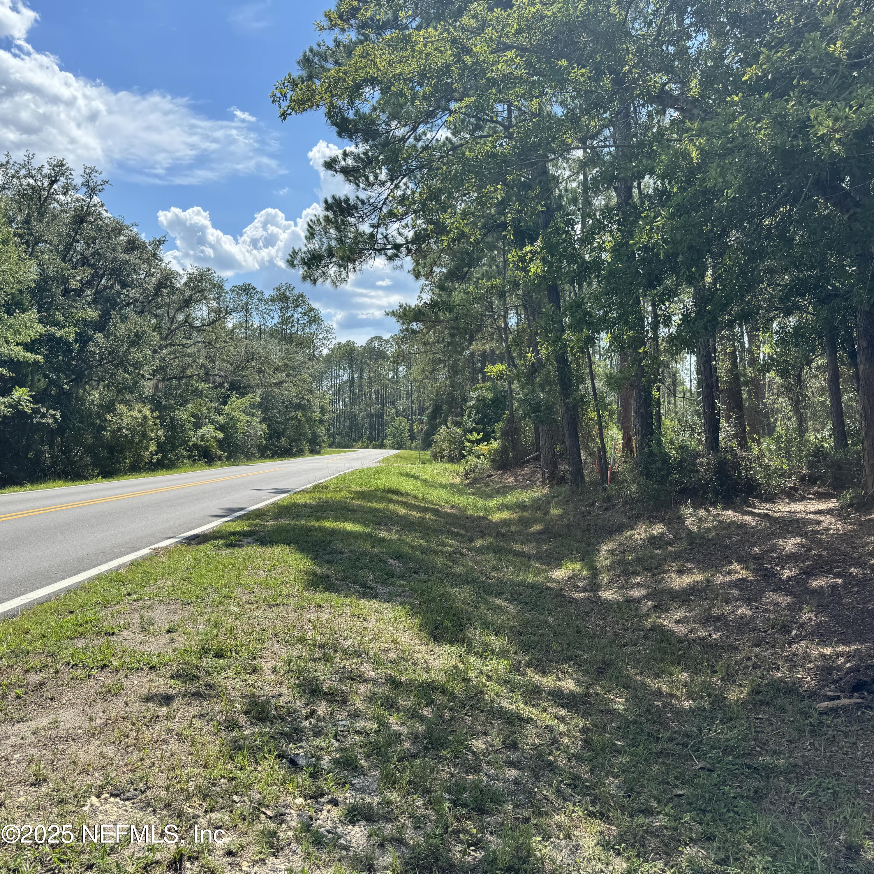 0 Wallace Street Interlachen, FL 32148 - Photo 4 of 5 a view of a field with large trees