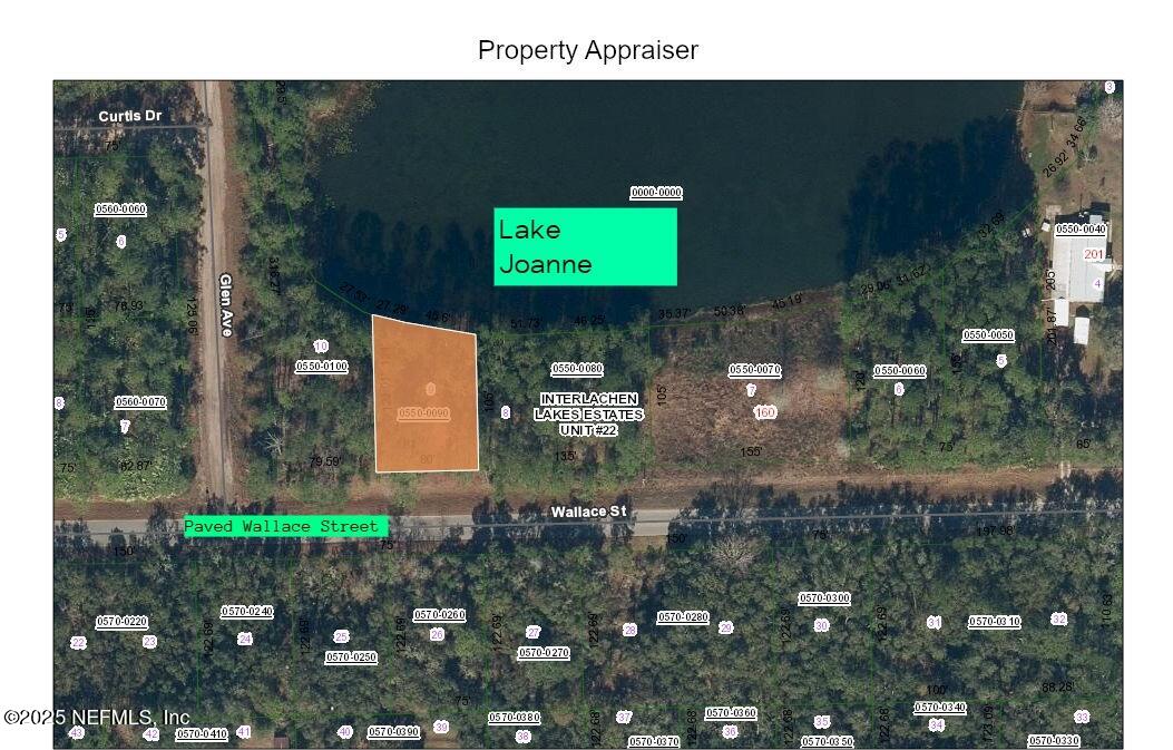 0 Wallace Street Interlachen, FL 32148 - Photo 5 of 5 a picture of a park