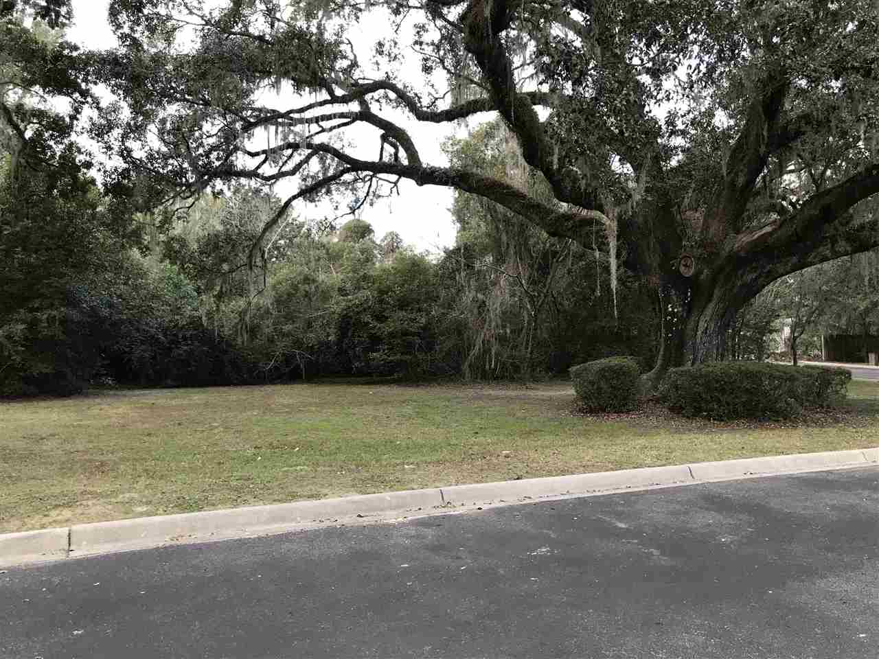 3100 Dian Road, Unit 403 Tallahassee, FL 32304 - Photo 5 of 10 Gallery Image 5