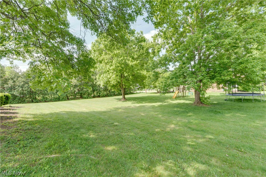 210 South Miller Road Akron, OH 44333 - Photo 17 of 19 With a .60 of an acre corner lot this home has plenty of space to roam outdoors
