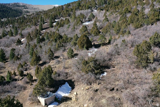 Undisclosed Address Summit, UT 84772 - Photo 3 of 19 Aerial view of mountains and a forest
