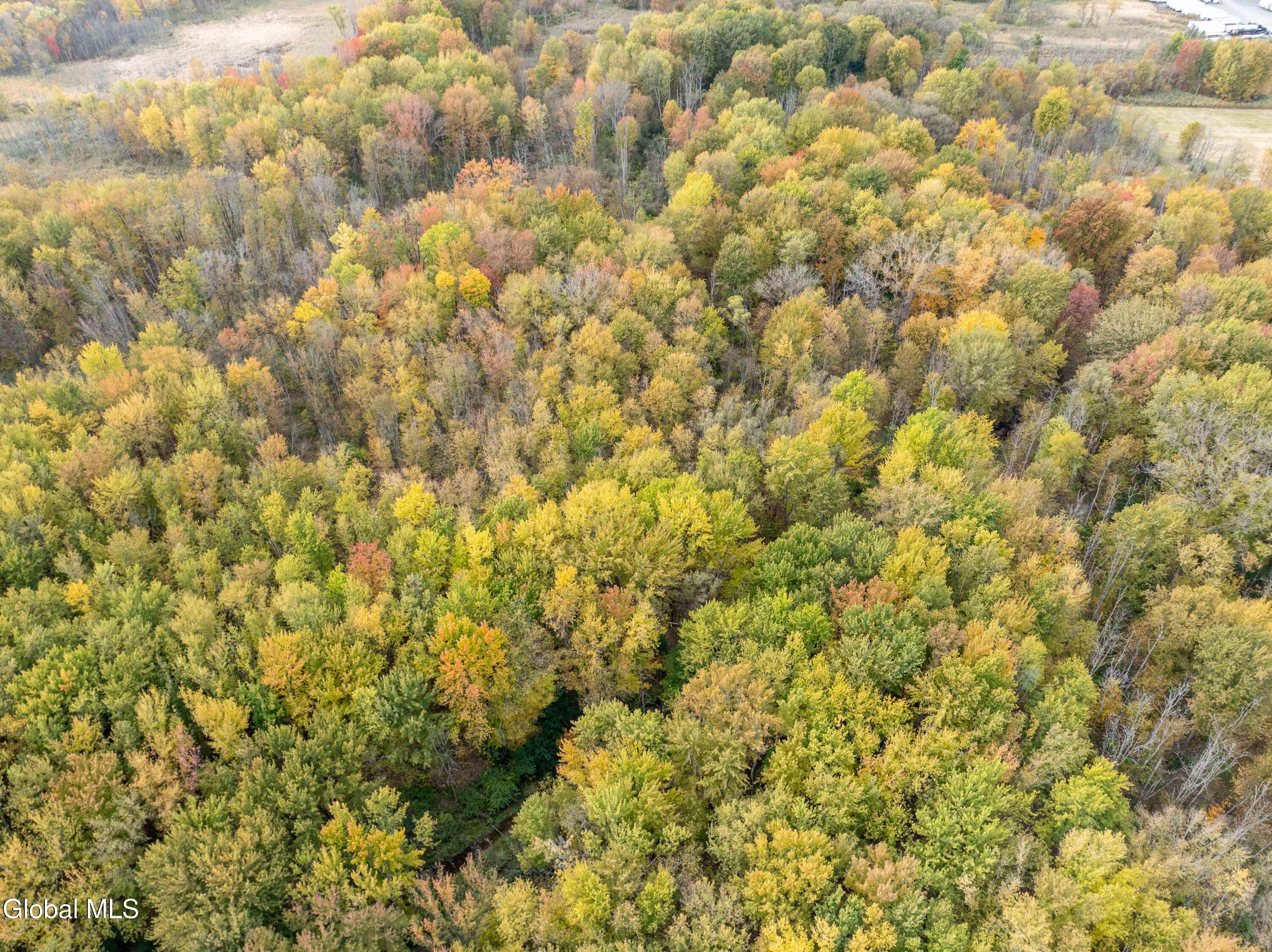 L14 Fly Road East Syracuse, NY 13057 - Photo 6 of 22 E. Syracuse Fly Road-20