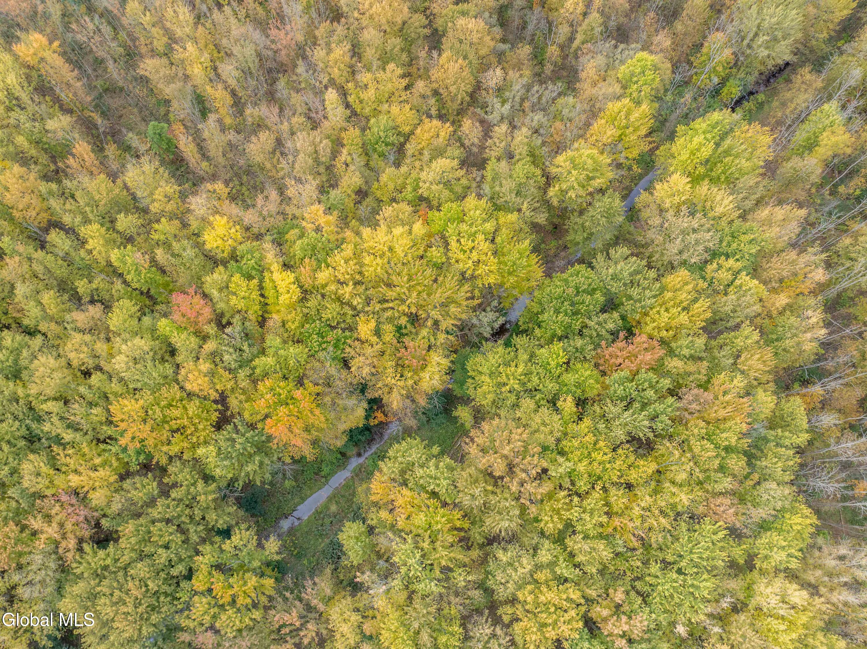 L14 Fly Road East Syracuse, NY 13057 - Photo 7 of 22 E. Syracuse Fly Road-19