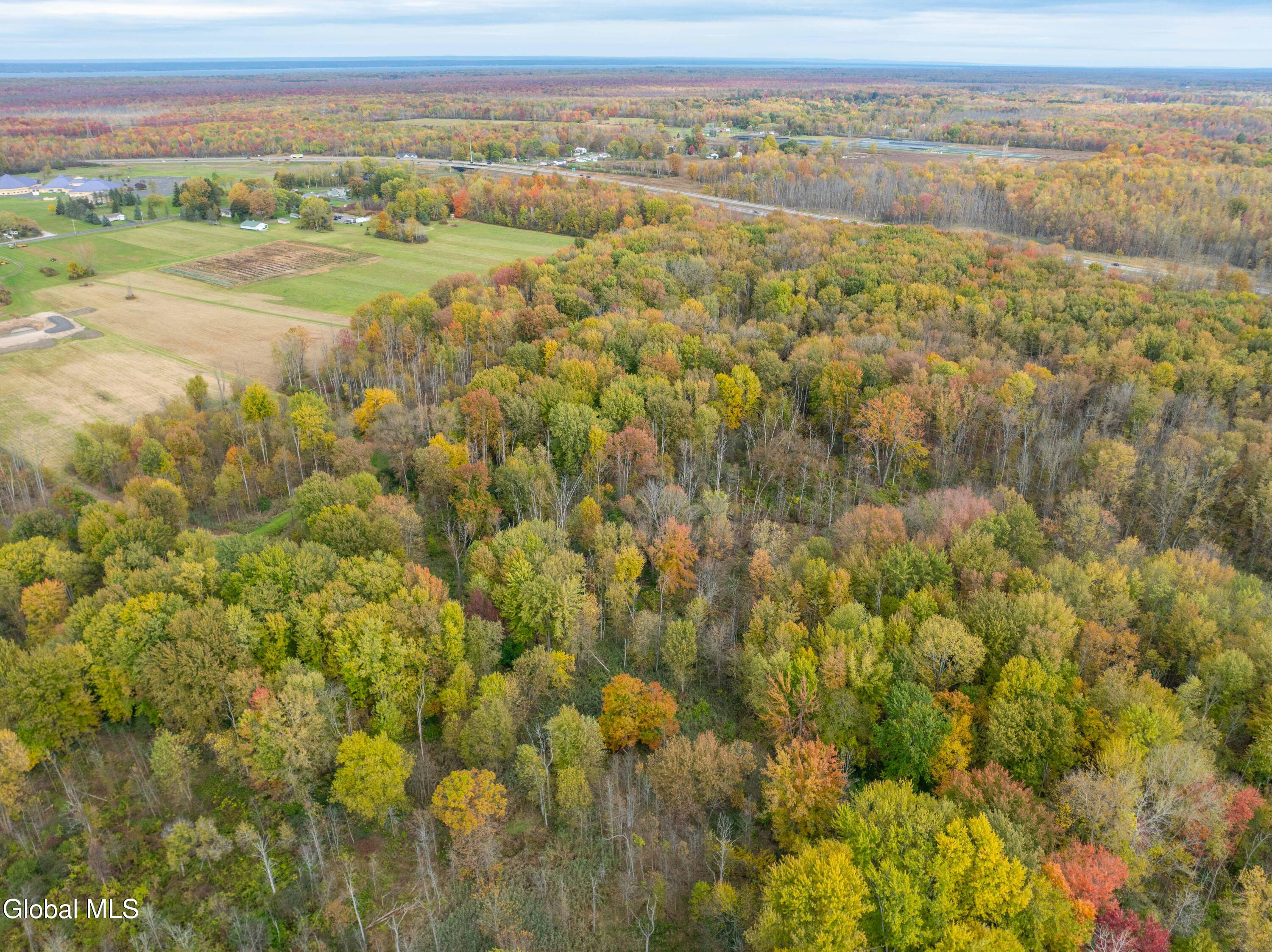 L14 Fly Road East Syracuse, NY 13057 - Photo 9 of 22 E. Syracuse Fly Road-16