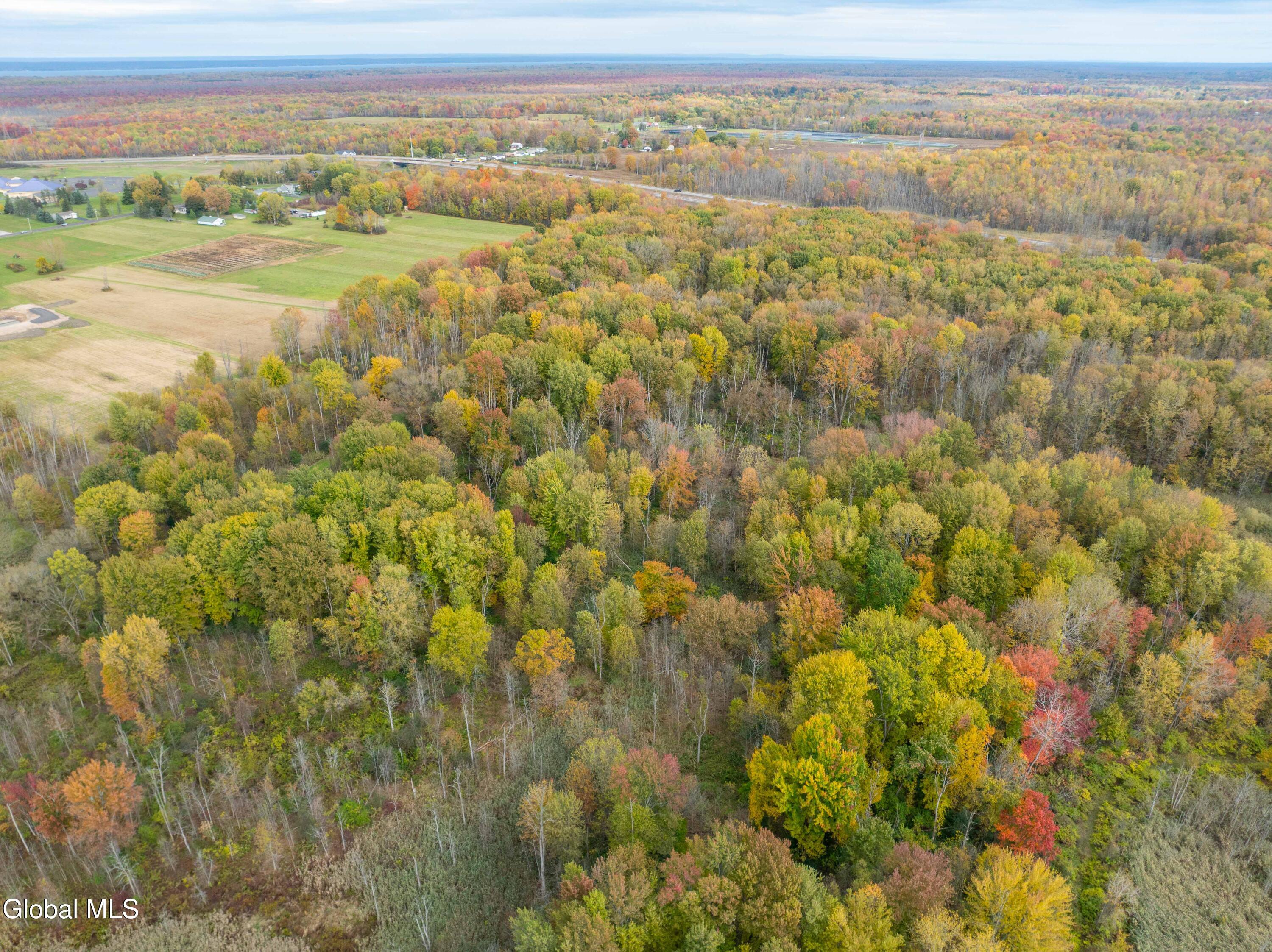 L14 Fly Road East Syracuse, NY 13057 - Photo 10 of 22 E. Syracuse Fly Road-15