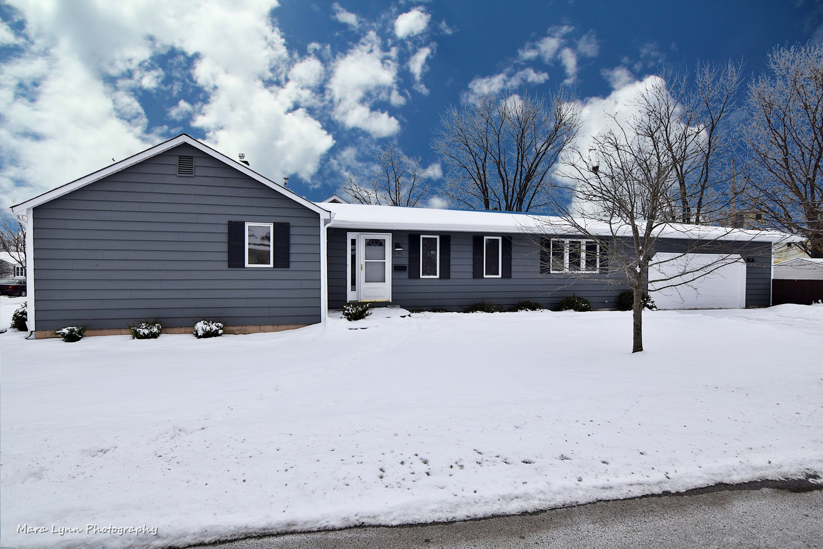 324 Spring Street Geneva, IL 60134 - Photo 1 of 32