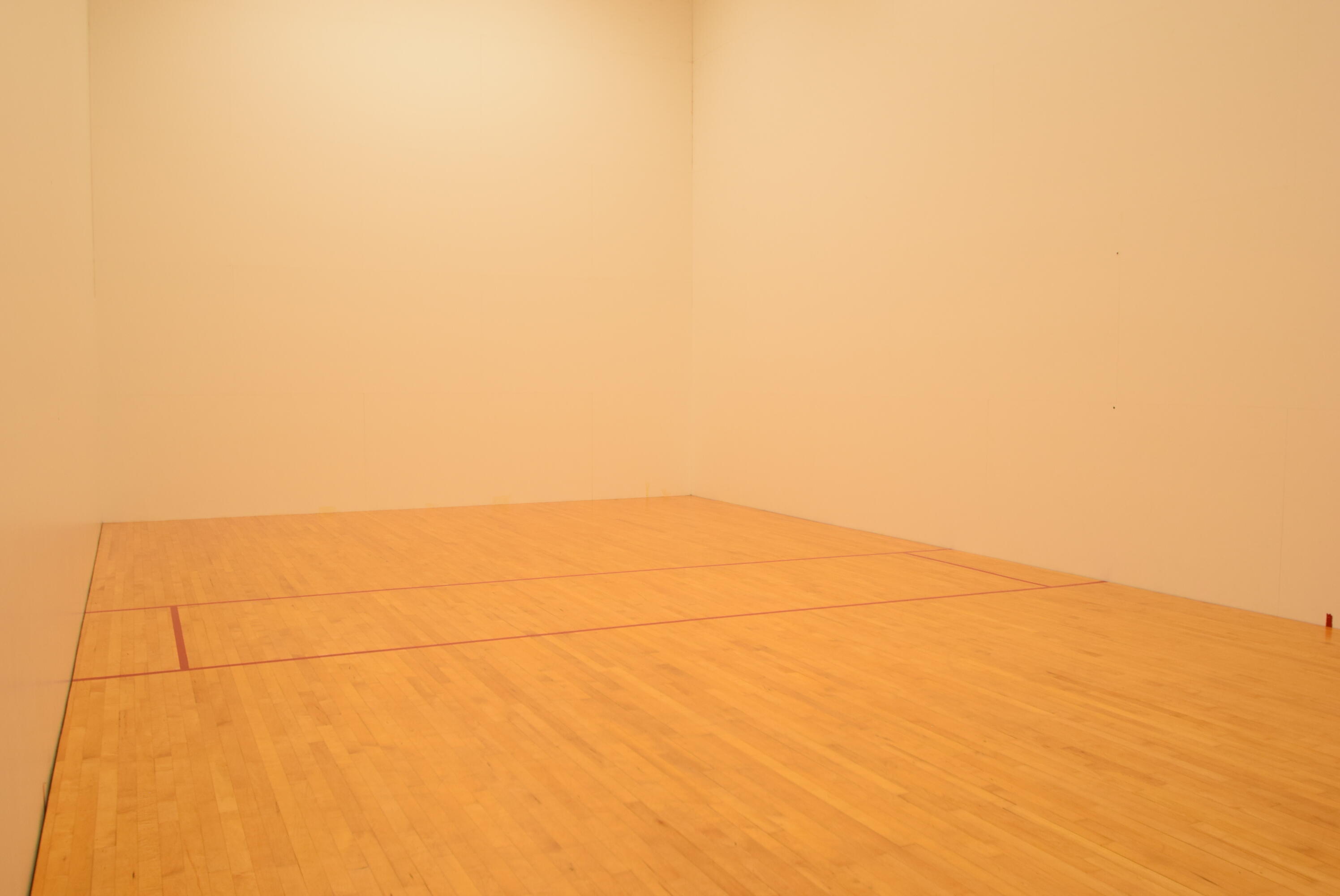 36 Chestnut Circle Brewster, MA 02631 - Photo 28 of 32 Colony RaquetBall