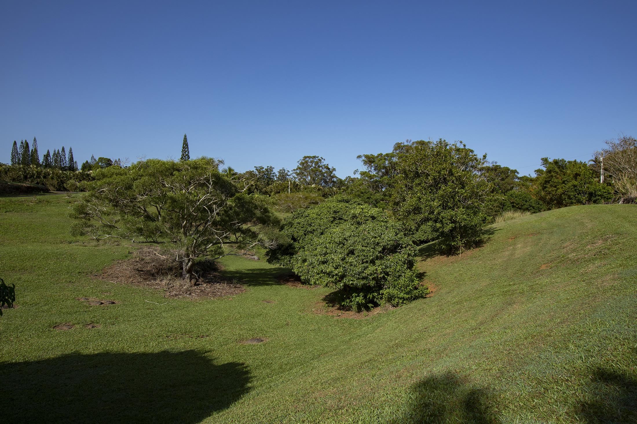 30 Mamao Place Haiku, HI 96708 - Photo 34 of 50 a view of a garden with a lake