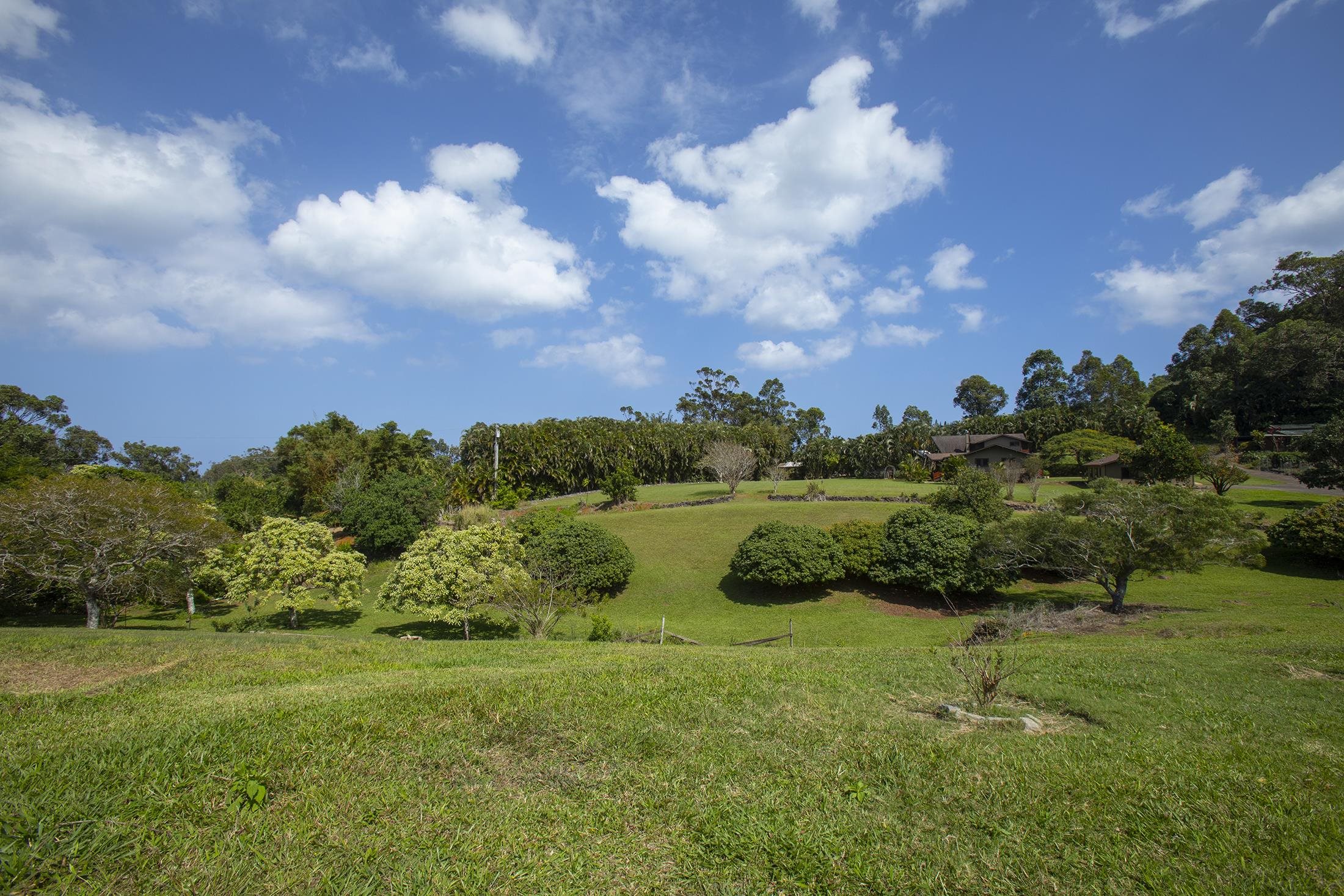 30 Mamao Place Haiku, HI 96708 - Photo 39 of 50 a view of a green field with lots of green space