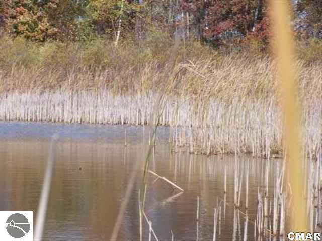 1000 South Loomis Road Mount Pleasant, MI 48858 - Photo 5 of 9 1764994-4.JPG