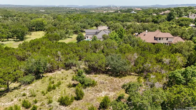 a view of a forest with a houses