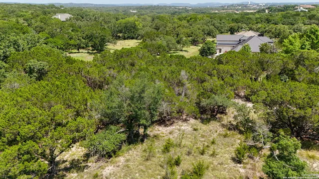 a view of a large yard with plants and large trees