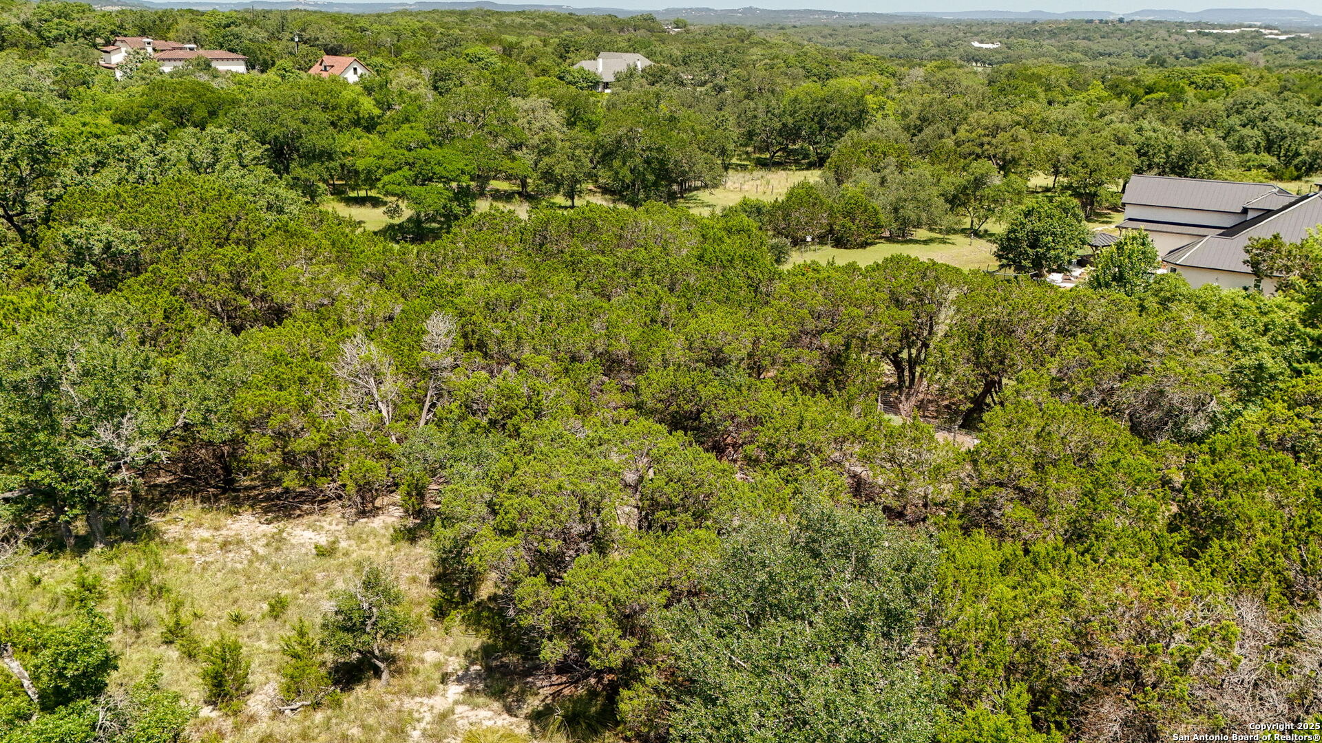 116 Balcones Bend Boerne, TX 78006 - Photo 21 of 25 a view of a bunch of trees and bushes