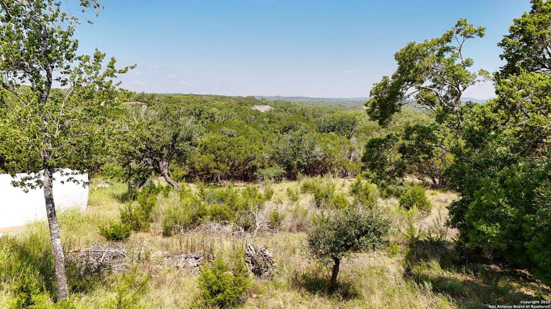 116 Balcones Bend Boerne, TX 78006 - Photo 25 of 25 a view of a yard with a tree