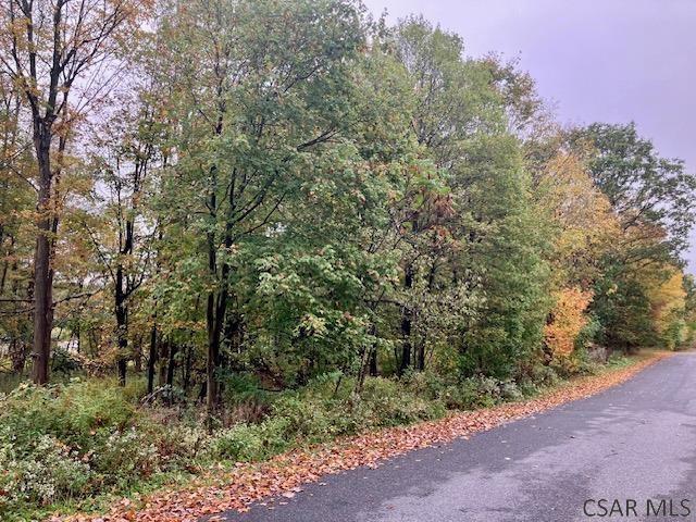 Pike Road Johnstown, PA 15909 - Photo 4 of 6