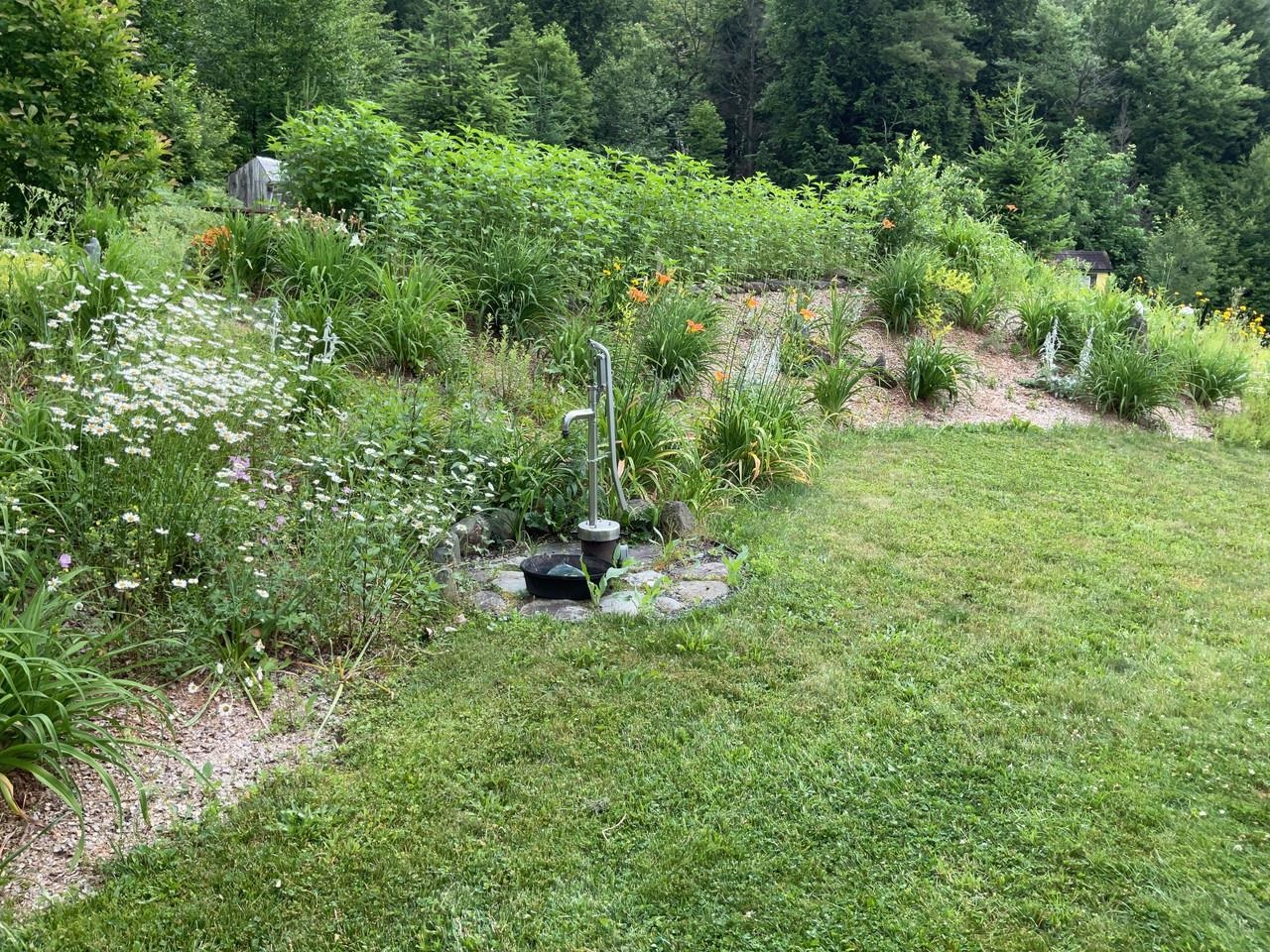 159 Tracy Hill Road Roxbury, VT 05669 - Photo 49 of 58