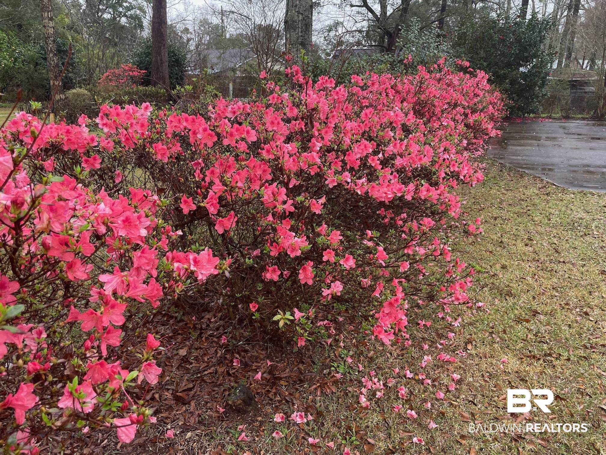 628 East Pedigo Avenue Foley, AL 36535 - Photo 45 of 46 Gallery Image 45