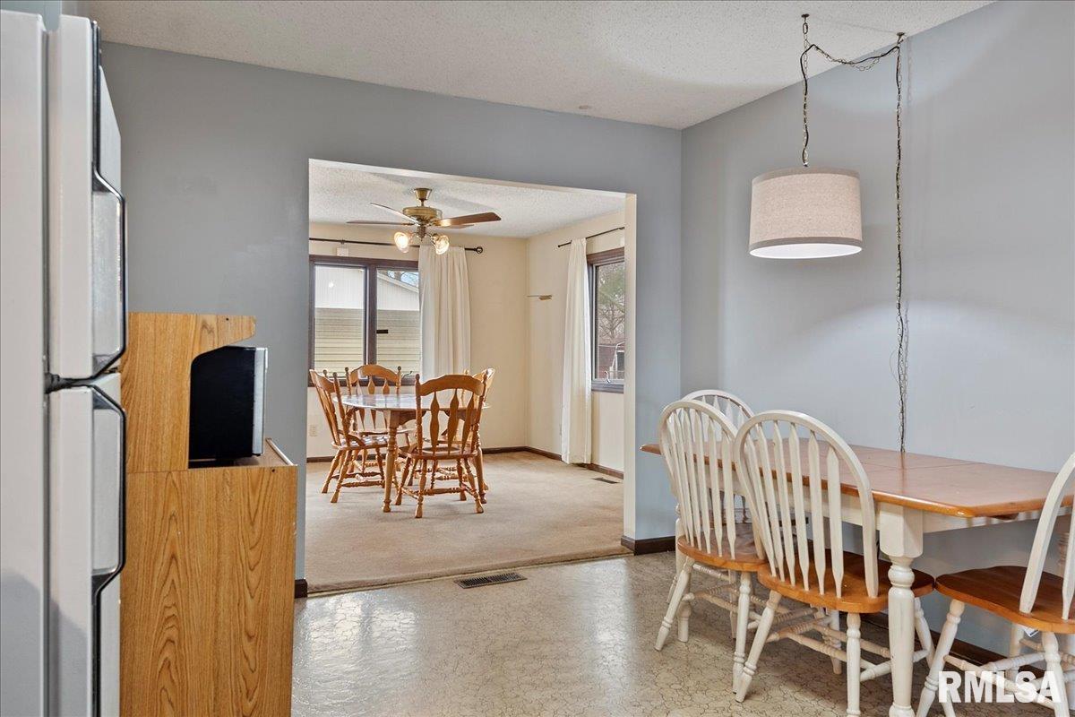 2828 Cardigan Drive Springfield, IL 62702 - Photo 9 of 30 Gallery Image 9