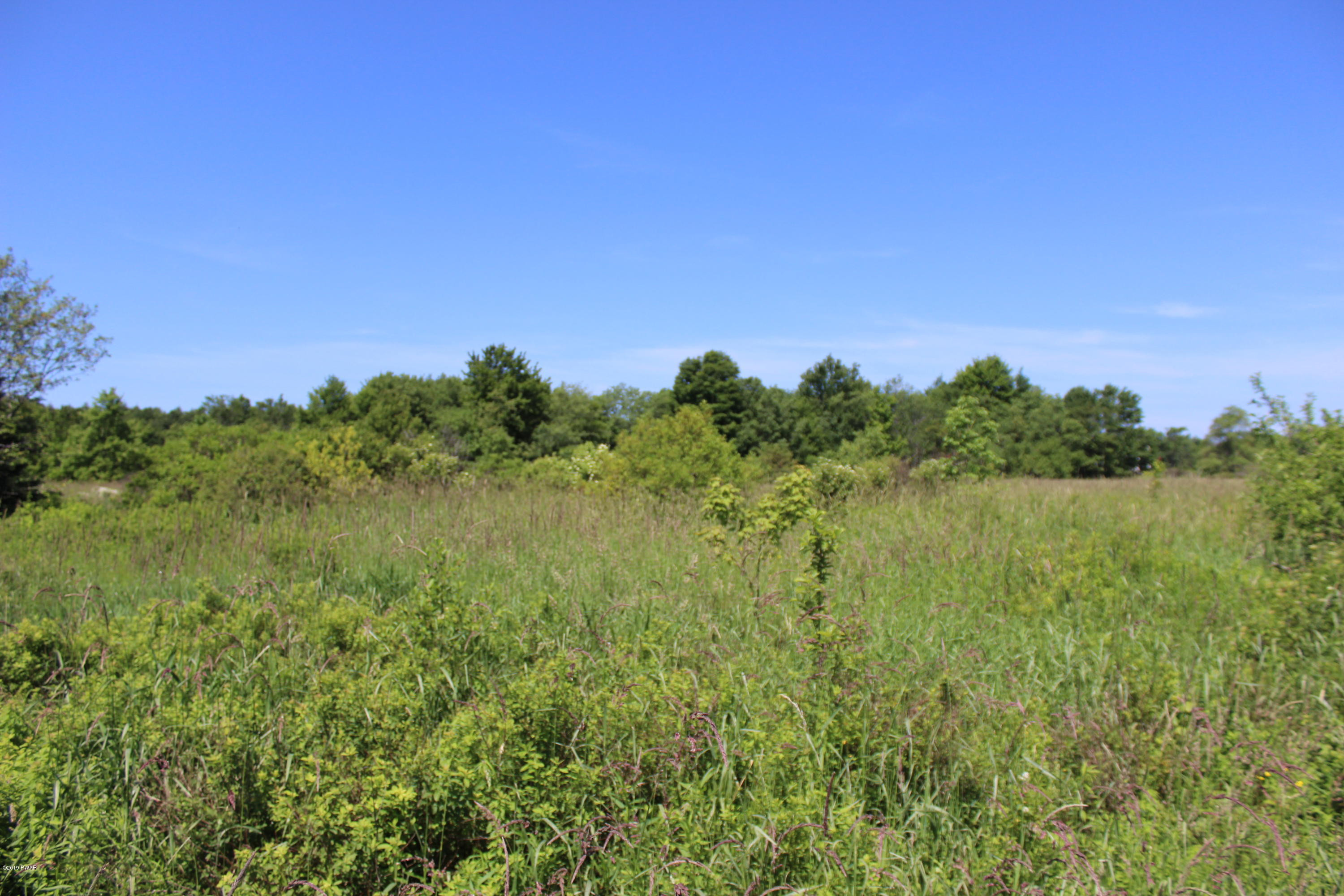 Cribbs Rd Road Lakewood, PA 18439 - Photo 8 of 10