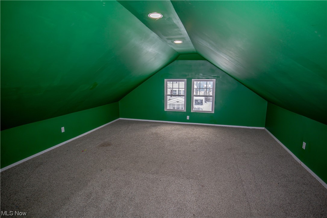 16315 Nela View Road Cleveland, OH 44112 - Photo 24 of 24 Bonus room with carpet floors and lofted ceiling
