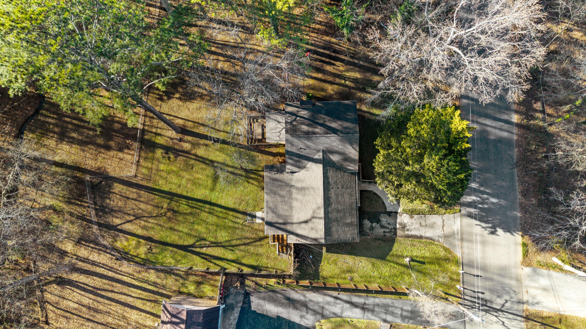 448 Apache Trail Northwest Cleveland, TN 37312 - Photo 34 of 38 a view of yard along with trees