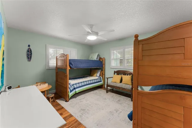 a view of a park with large trees