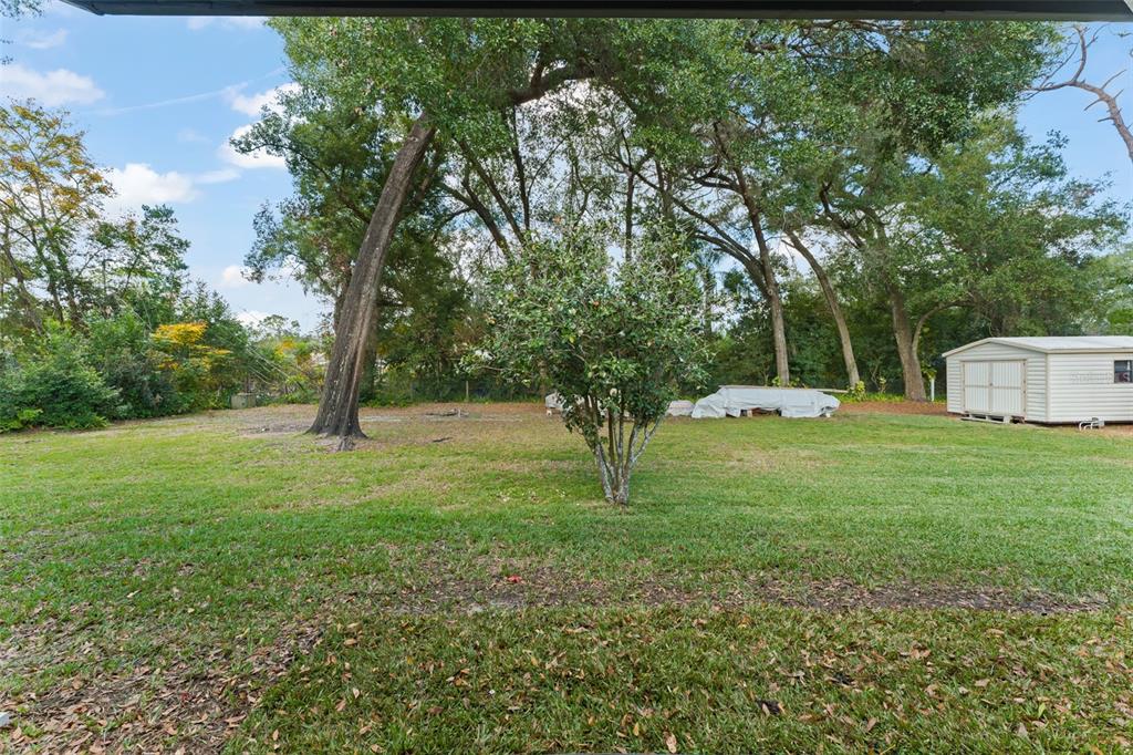 1209 Roxboro Road Longwood, FL 32750 - Photo 55 of 74 a view of a backyard with a trees