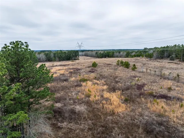 a view of a field with trees in background