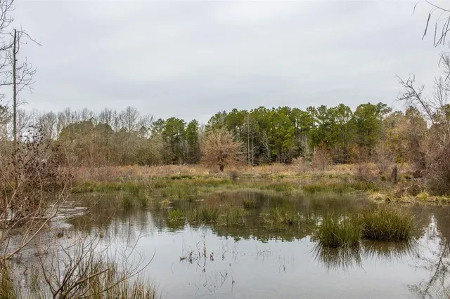 a close up of a shower curtain