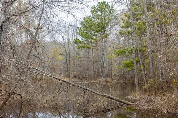 $975,000 | 0 County Road 4243 D, Laneville, TX 75667