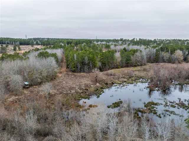a view of a lake with a mountain in the background