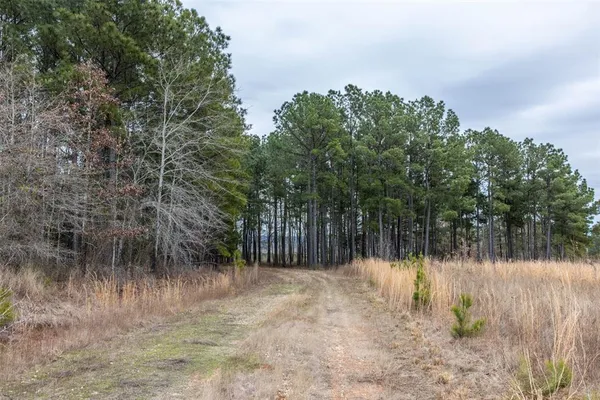 $975,000 | 0 County Road 4243 D, Laneville, TX 75667