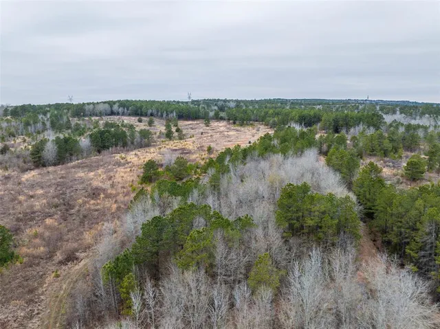 a view of a field with trees in background