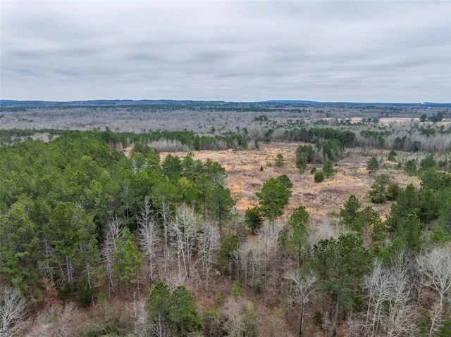 a view of a lake with a mountain in the background