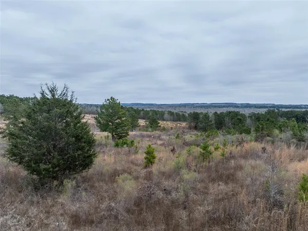 $975,000 | 0 County Road 4243 D, Laneville, TX 75667