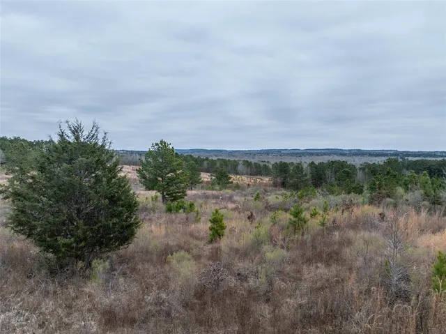 a view of a big yard with lots of green space and mountain view in back
