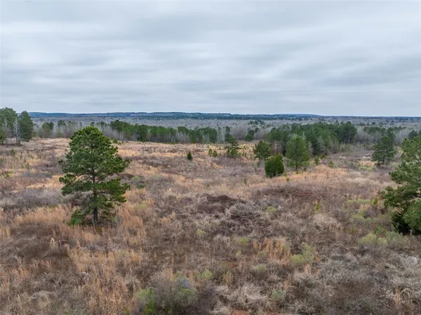 $975,000 | 0 County Road 4243 D, Laneville, TX 75667