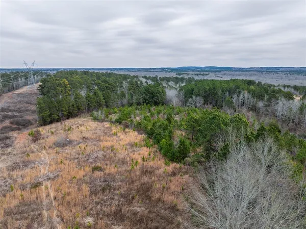 $975,000 | 0 County Road 4243 D, Laneville, TX 75667