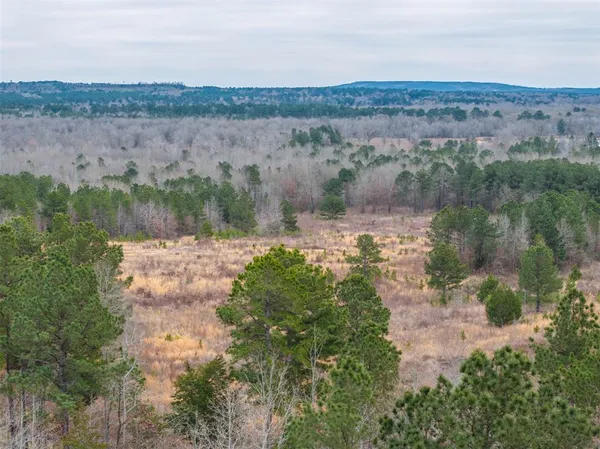 $975,000 | 0 County Road 4243 D, Laneville, TX 75667