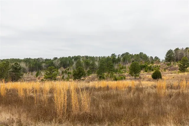a view of lake with lots of trees