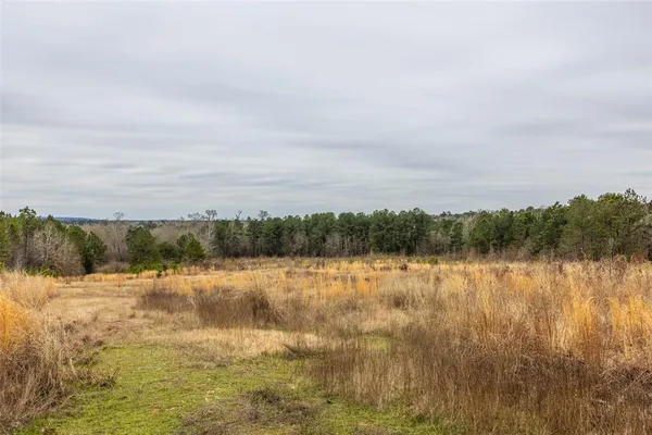 $975,000 | 0 County Road 4243 D, Laneville, TX 75667