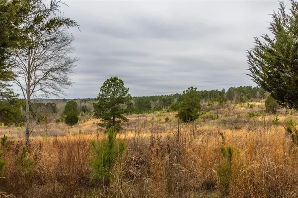 $975,000 | 0 County Road 4243 D, Laneville, TX 75667